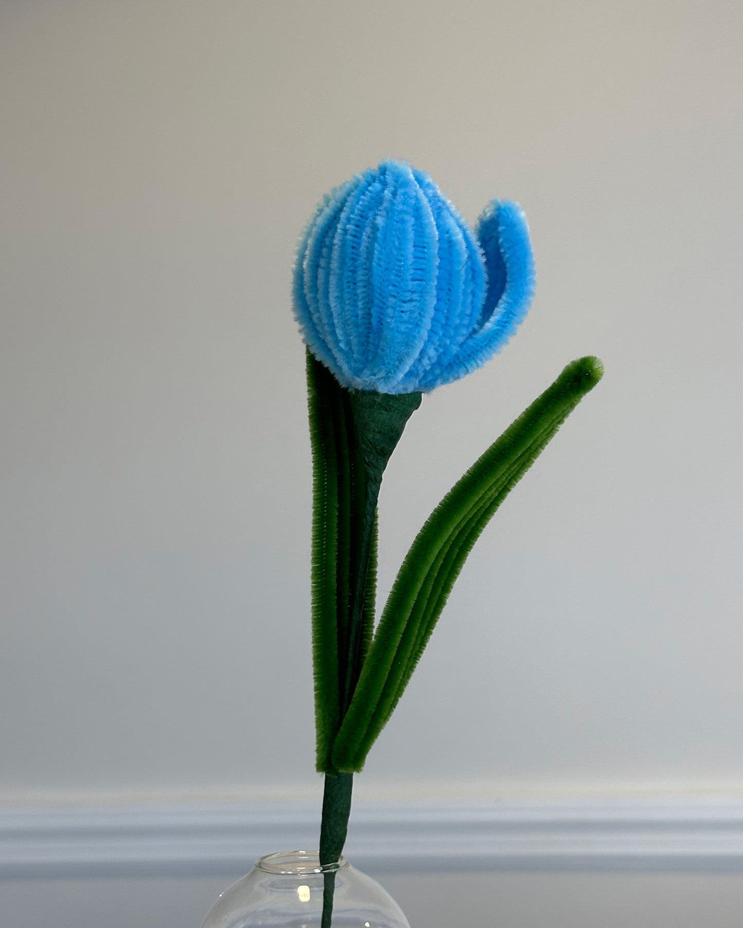 TULIP - BLUE