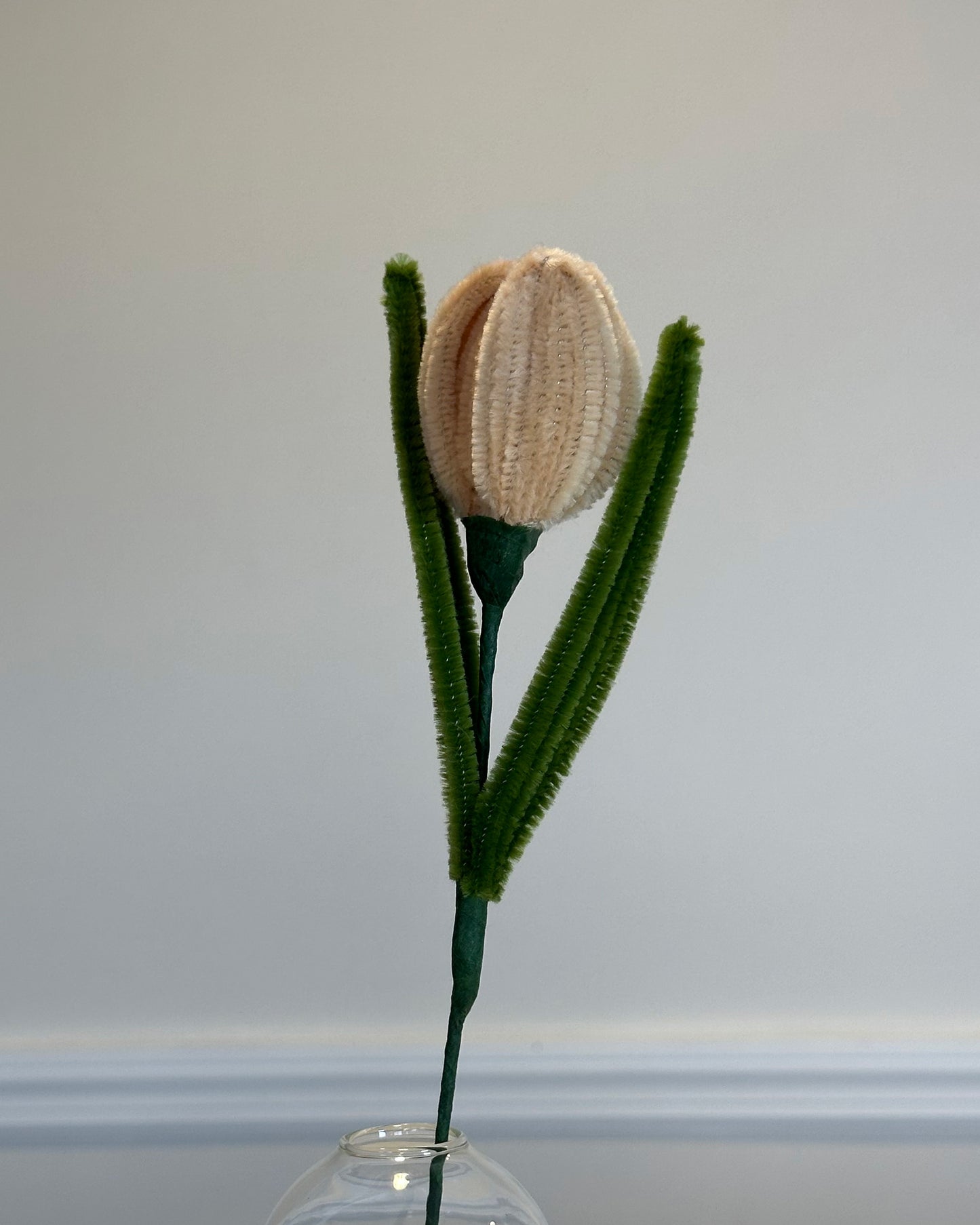 TULIP - IVORY