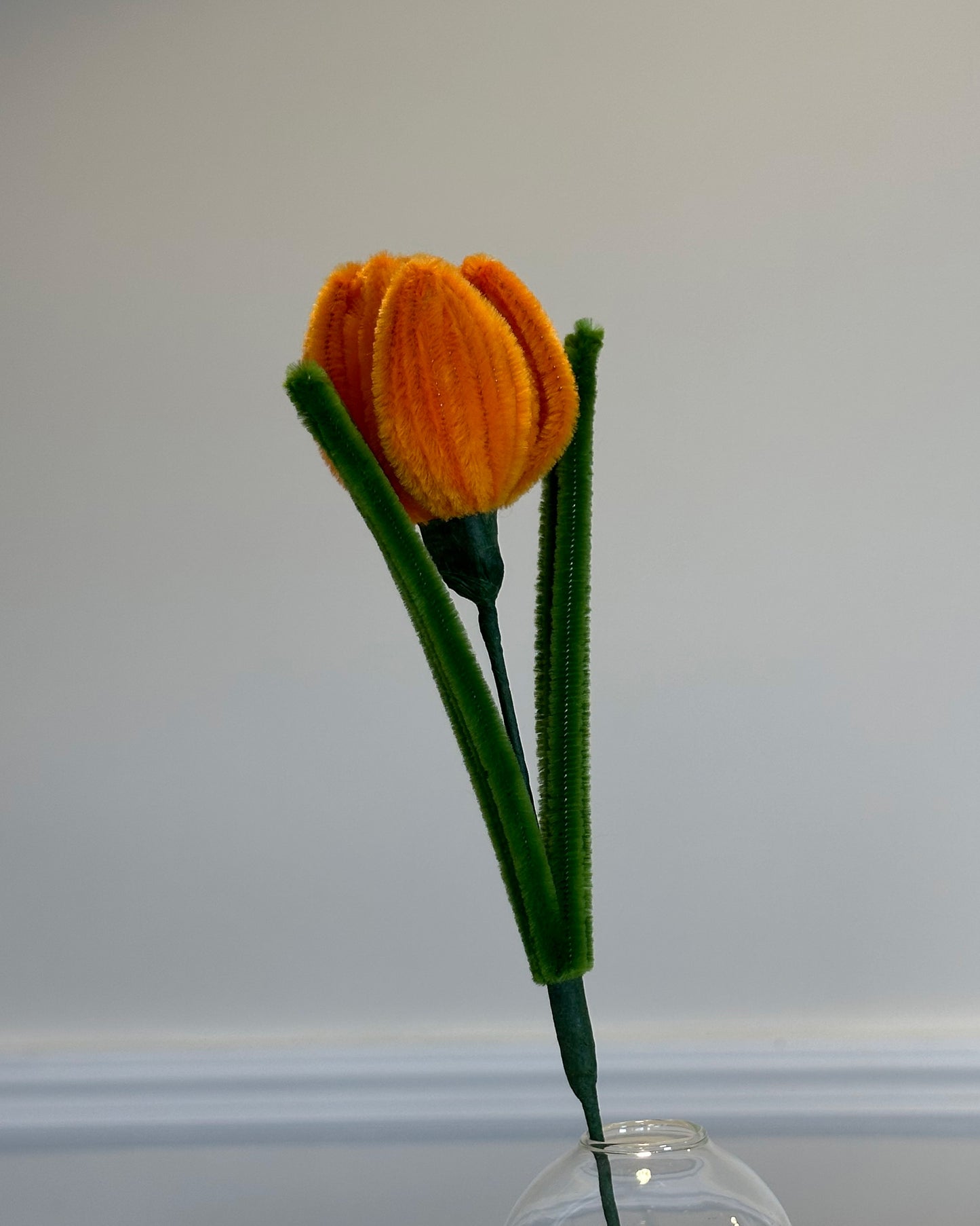 TULIP - ORANGE