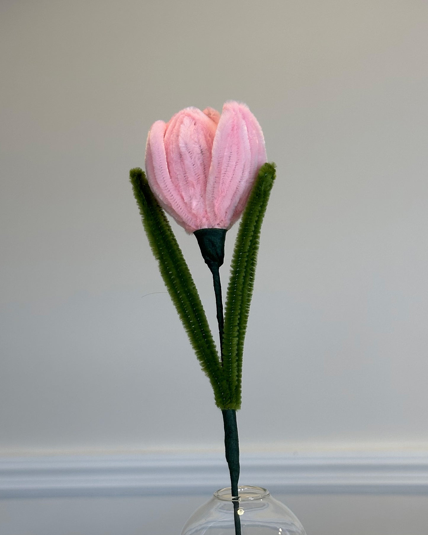 TULIP - PINK