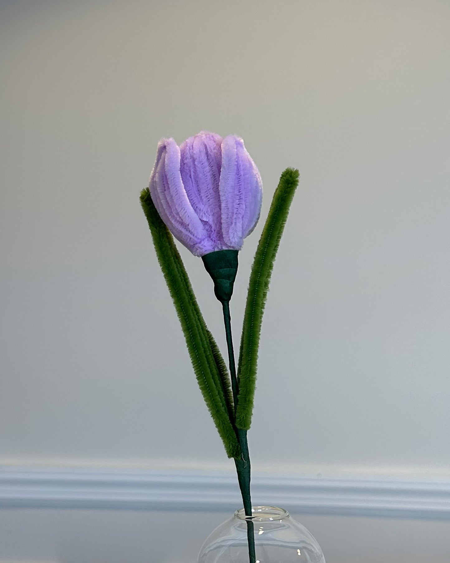 TULIP - PURPLE